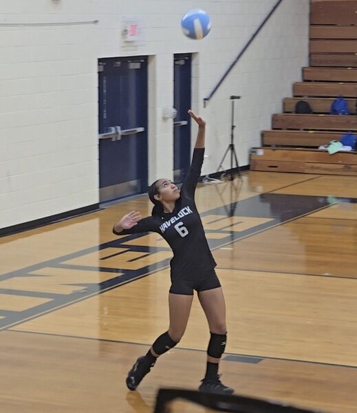 Barracuda Barracuda 15s Sean 2026: #14   Brooklyn Willis